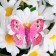 Butterflies for decor and floristry, on the clothespin, plastic, mix, 5 cm and 8 cm