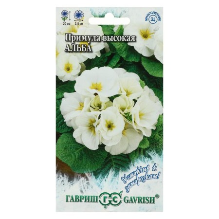Flower seeds "Alba High" primrose, the series is resistant to frosts, 4 pcs