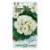Flower seeds "Alba High" primrose, the series is resistant to frosts, 4 pcs