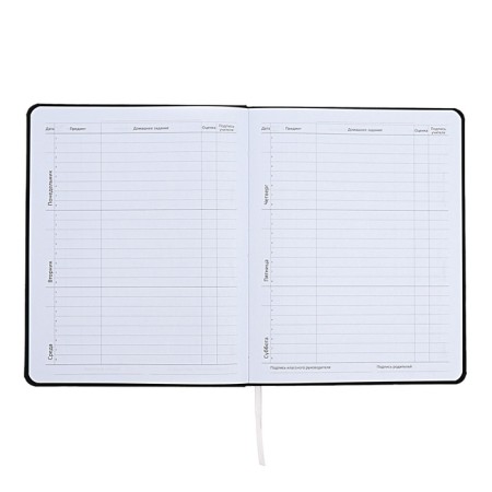 Universal diary for grade 1-11 I’m fine, integral cover, artificial leather, silkography, lies, 80 g/m2-6