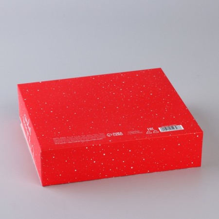 New Year's folding box "Bullfinchi on the branch" 20 x18 x 5 cm, New Year-3