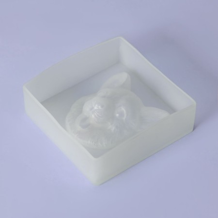 Mold "Muzzle", silicone, 8 × 8 × 2.3 cm, white color-5