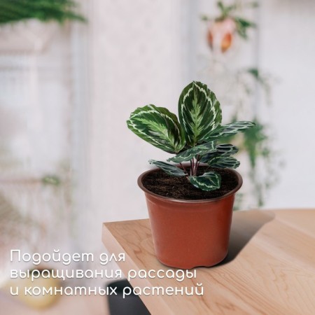 Pot for seedlings, 1.3 l, d = 14 cm, h = 12 cm, terracotta, Greengo-2