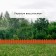 Decorative fence, 18 × 300 cm, 6 sections, plastic, terracotta, "summer cottage"