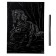 Engraving 18 × 24 cm, horses "Andaluz horse" (silver)