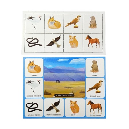 Lotto Children's "Zoo", small-2