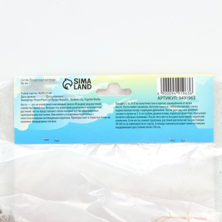 Khosta "Alvatine Taylor", rr I, size L, 1 pc, spring 2024-2