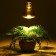 Infrared lamp, 250 watts, E 27, 220V, wavelength 1100-1150 nm, white sausage