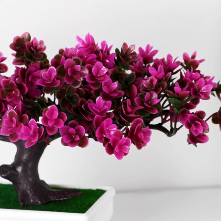 Bonsai in the pot "Lotus tree" 10.5x17 cm, mix-1
