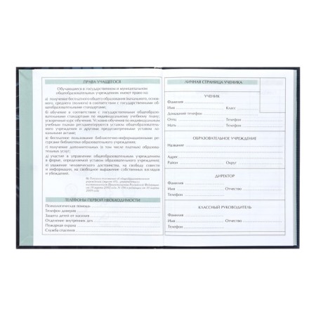 Diary for grades 5-11, 48 sheets, technoboom, integral cover, glossy lamination, print on a holographic film-4