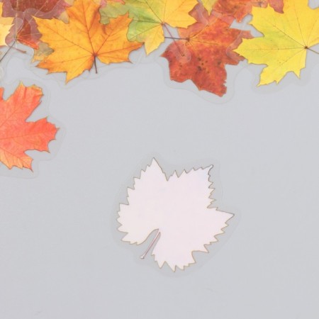 Stickers for creativity plastic "Maple leaves" set 40 pcs 0.3x8x14.8 cm-2