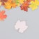 Stickers for creativity plastic "Maple leaves" set 40 pcs 0.3x8x14.8 cm