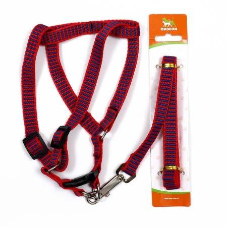 Acunition set is embossed, leash 120 x 1.5 cm, OG 36-49 cm, red-blue-6