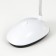 Board lamp "Light Roy" LED from white batteries 5x8.5x20 cm Risalux