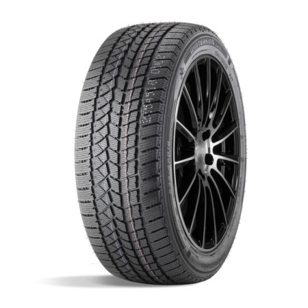 Winter NesyPatable DoubleStar DW02 245/50 R20 102T
