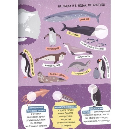 Children's atlas of underwater world-2