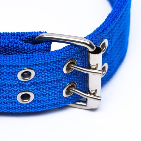 Four-layer collar with a swivel, 80 x 4.9 cm, Osh 64-74 cm, polyester, blue-2