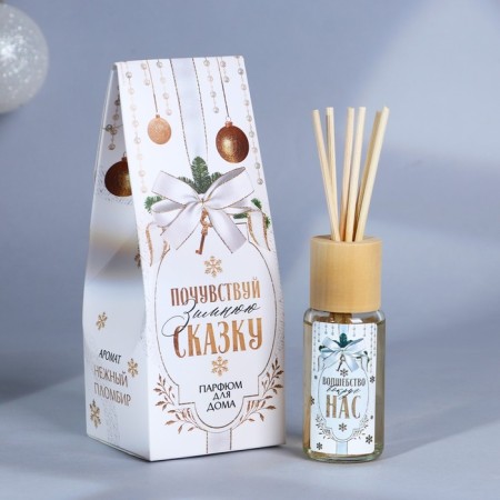 Diffusor "Feel the Winter Tale", 30 ml, the aroma of sealing-1