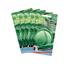 White cabbage seeds of white megaton, set 5 pcs