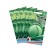 White cabbage seeds of white megaton, set 5 pcs