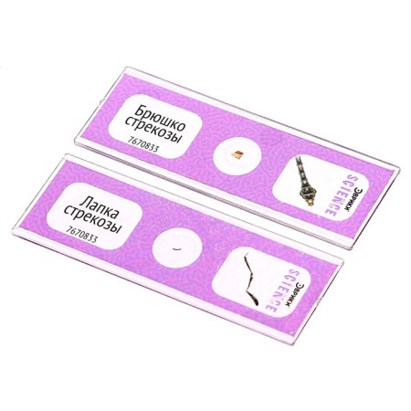 Set for experiments "Set of micropreparations", insects-1