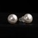 Earrings with pearls "Bride" bead d = 1 cap, white color