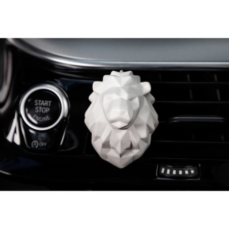 Fragrance to the deflector ceramic lion, Grand Caratt + aromaticom-5