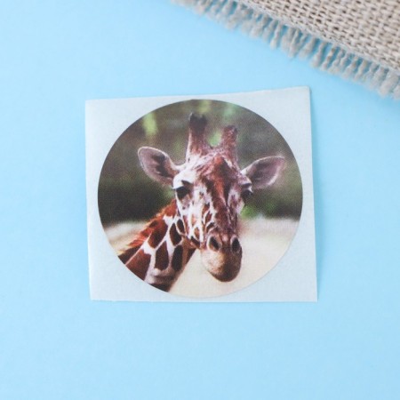 Stickers in the roll "Beast", 500 pcs, 2.5 x 2.5 cm-4