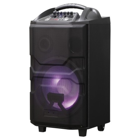 Portable column National NSM-V550, 120 W, USB, FM, 4500 mAh, black