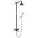 Lemark Prime LM6162BRG shower system, tropical shower, shower, gold/black