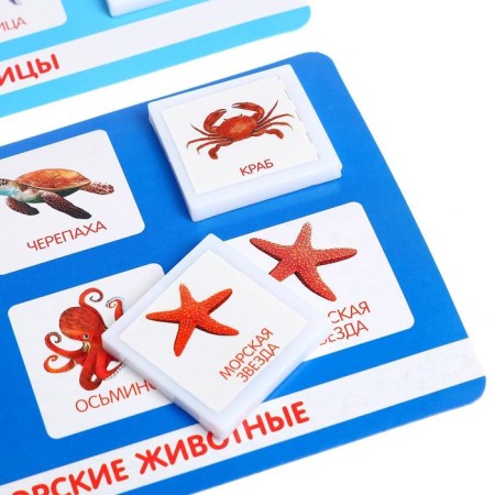 Loto "Animal World" according to the methodology of G. Doman, in a package-2