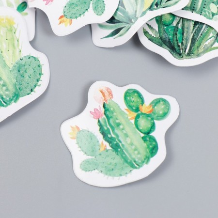 Stickers for creativity "Blooming succulents" set 46 pcs 4.4x4.4x1.1 cm-1
