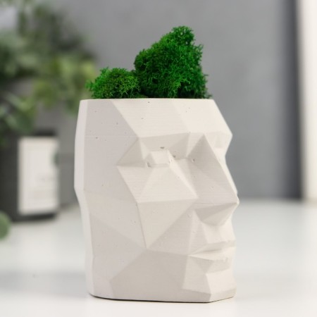 Kashpo Concrete "Head" with moss height 8.5 cm white (moss green stabilized)-2