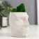 Kashpo Concrete "Head" with moss height 8.5 cm white (moss green stabilized)