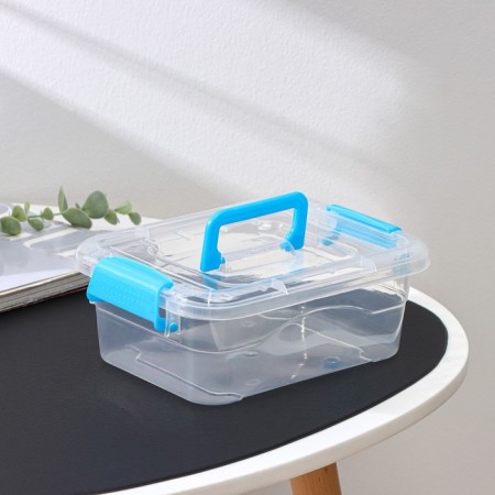 The storage container is plastic, a cover with a handle on a latch 19 × 15 × 6.8 cm, color mix