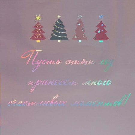 Holographic vertical package “Moments”, 26 x 32 x 9 cm, New Year-4