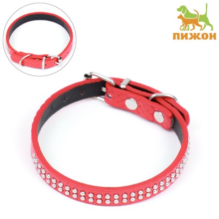 The collar of rivet with 2 rows of rivets, 33 x 1.2 cm, Osh 23-29, red
