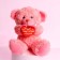 Soft toy "Rejoice the world with your smile", 22 cm, mix