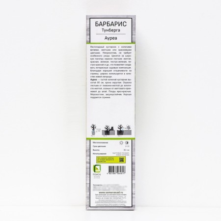 Barberis Tunberg "Aurea" 1 pc, tube, spring 2025-1