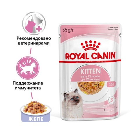 Wet feed RC Kitten Instinction for kittens, jelly, spider, 85 g-1