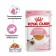 Wet feed RC Kitten Instinction for kittens, jelly, spider, 85 g