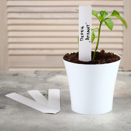 Garden tags for marking, 20 cm, set 10 pcs., Plastic, white, Greengo-6