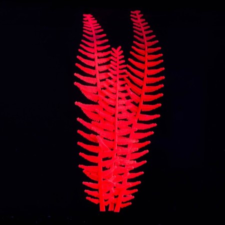 Silicone Aquarium plant, glowing in the dark, 8 x 23 cm, pink-1