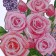 Diamond embroidery "Roses" Interior decor