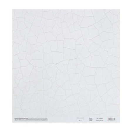 Scrapbooking paper “Never give up”, 30.5 x 32 cm, 190 g/m²-3