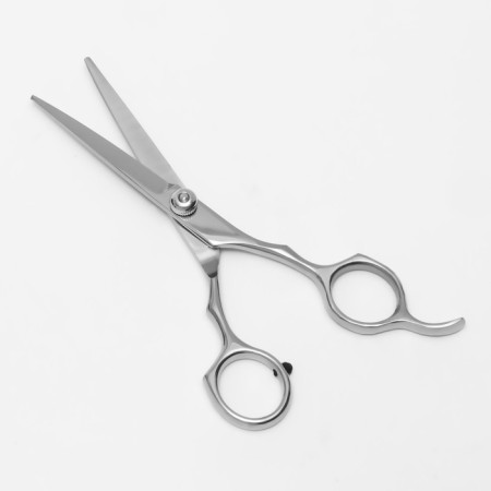 Hairdressers with emphasis, blade - 5.5 cm, silver color-2
