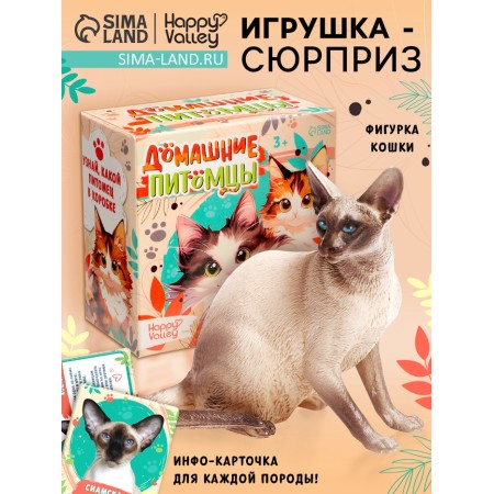 Toy - surprise "Pets. Cats "