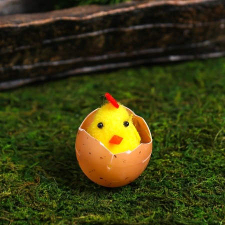 Easter souvenir "Chickens in the egg on the grass" set 6 pcs 4.5x14x14 cm-1