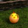 Easter souvenir "Chickens in the egg on the grass" set 6 pcs 4.5x14x14 cm