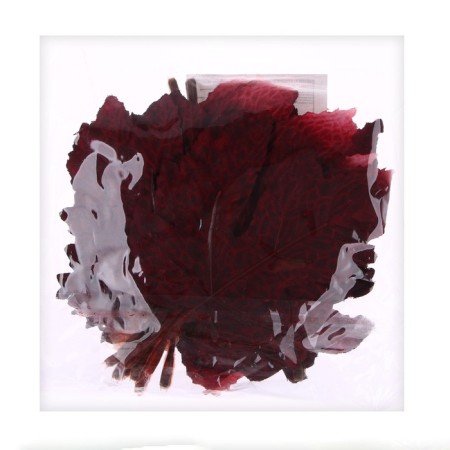 Decor "Autumn sheet" set of 15 pcs., Size 1 pc. - 9 × 11 × 0.2 cm, red color-3